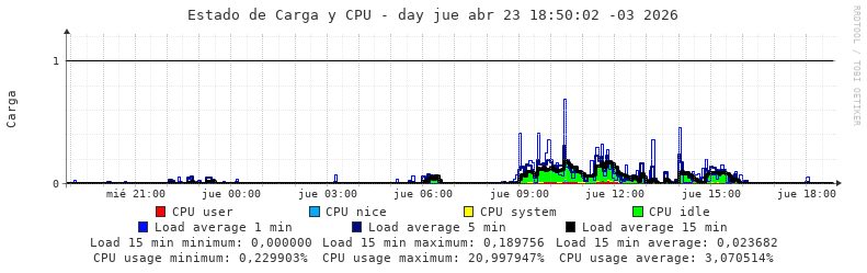 Carga del servidor diario